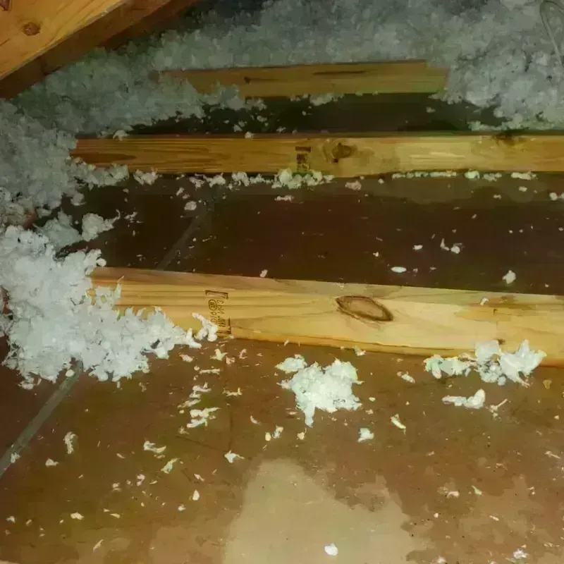 Attic Water Damage in Emeryville, CA