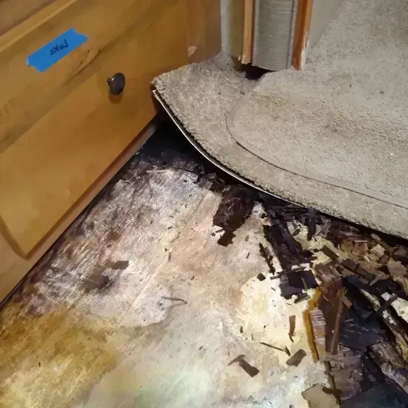 Wood Floor Water Damage in Emeryville, CA